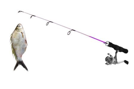 Canne à pêche : les meilleurs modèles sur Amazon canne à pêche