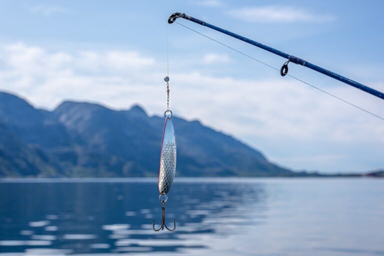 Pêche promo