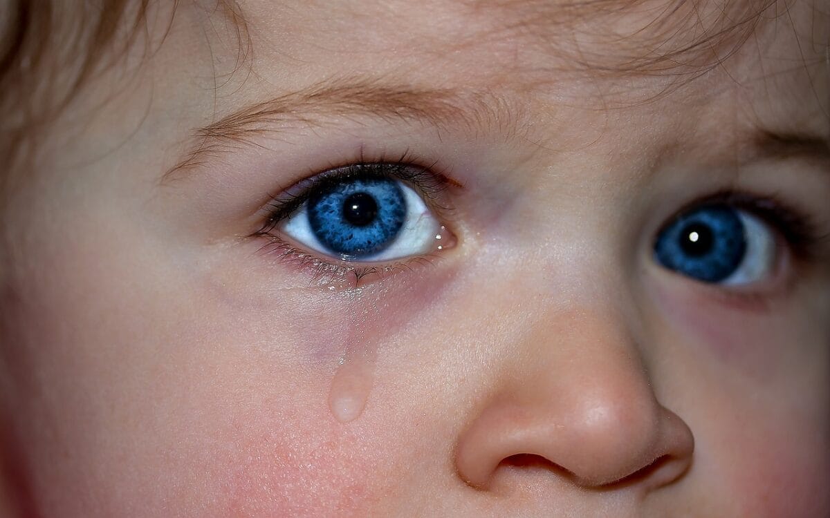 Yeux Hazel : la beauté unique des yeux noisette
