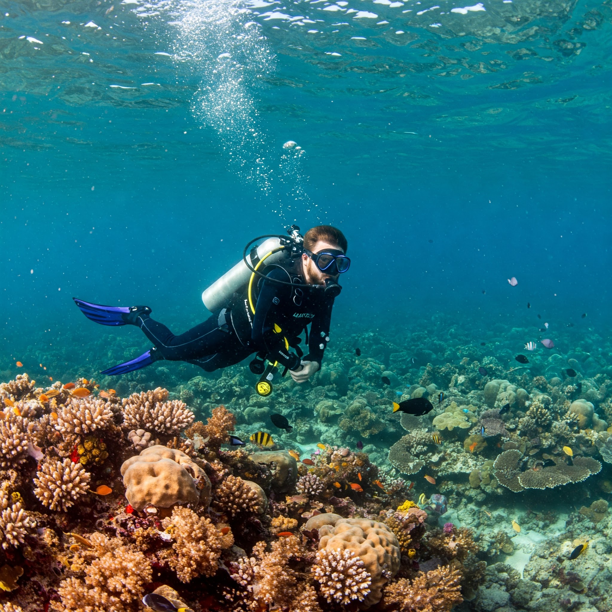 Plongée sous-marine : découvrez un monde fascinant sous l'eau
